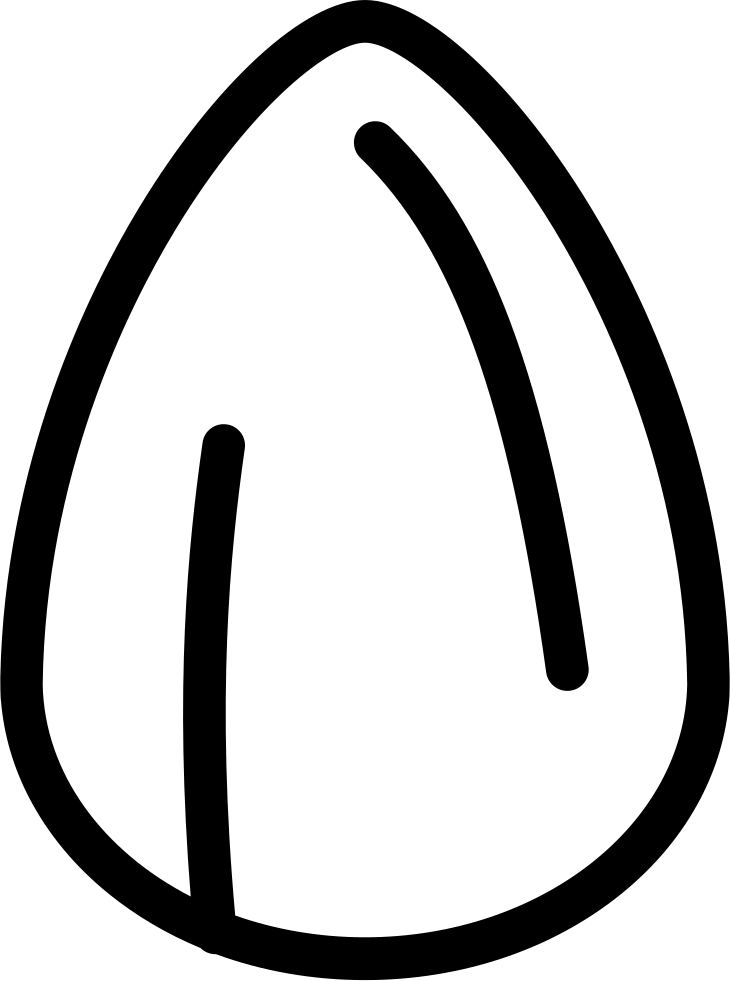Svg Almond Nature - Circle Clipart (730x981), Png Download