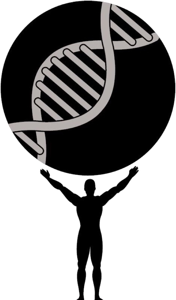 Metis Foundation Logo Clipart (1000x1000), Png Download