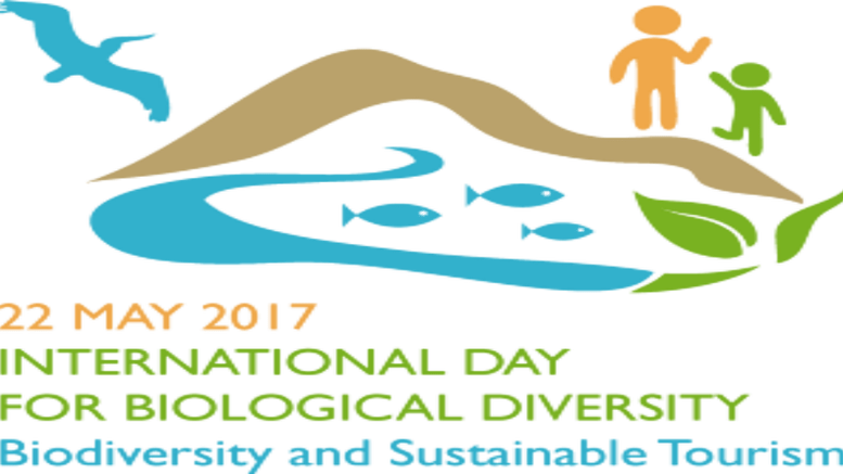 International Day For Biological Diversity 2018 Clipart (777x437), Png Download