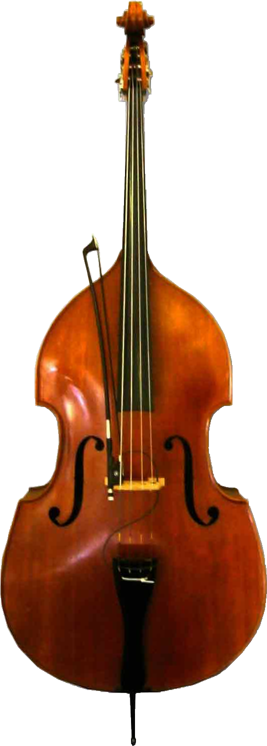 Instruments Clipart Double Bass, Instruments Double - Double Bass Png Transparent Png (562x1514), Png Download