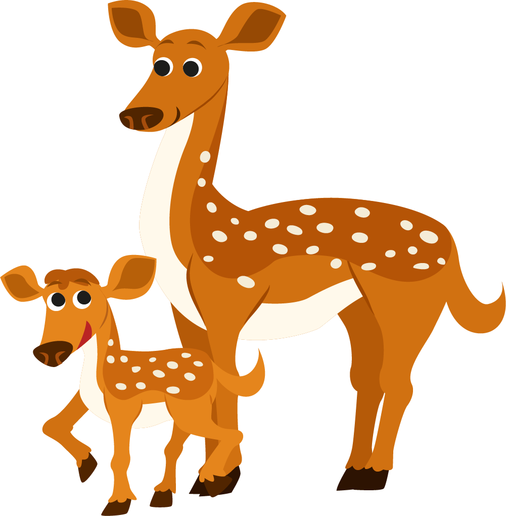 Mammal Drawing Fawn - Deer And Fawn Cartoon Clipart (1001x1022), Png Download