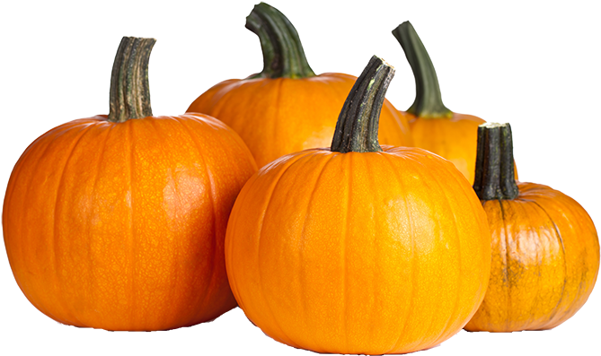 Dubai Festival City Mall Halloween Clipart (700x467), Png Download