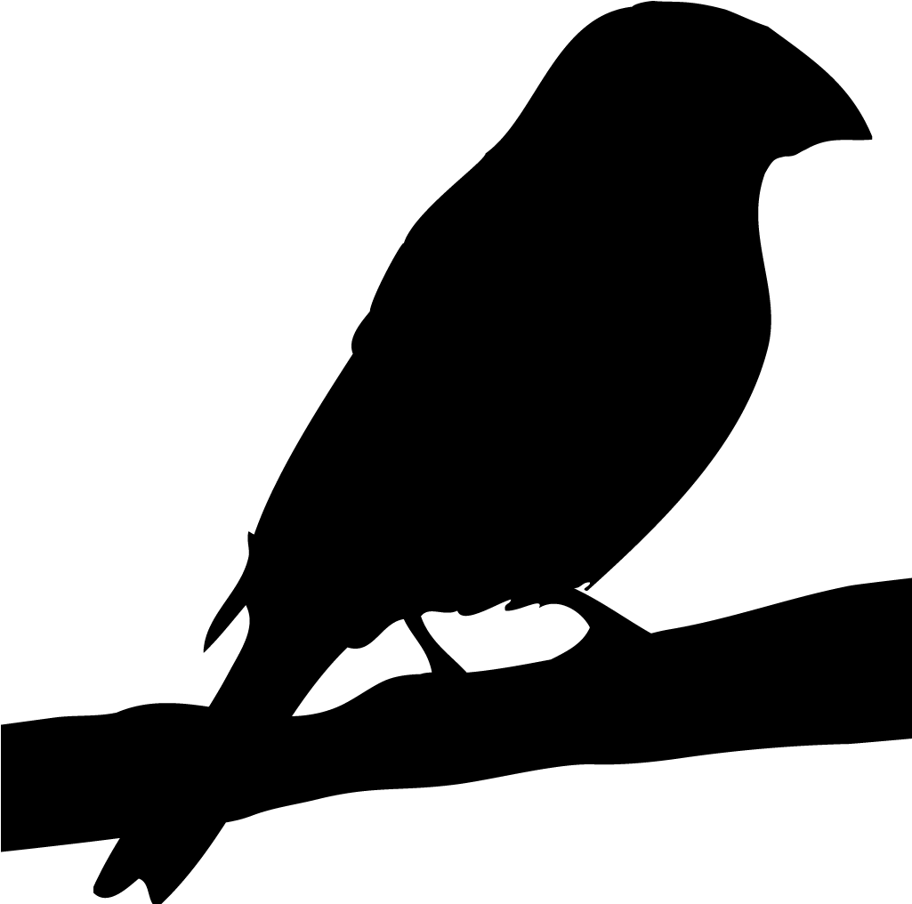 Finches Grosbeak Silhouette- Clipart (1025x1016), Png Download