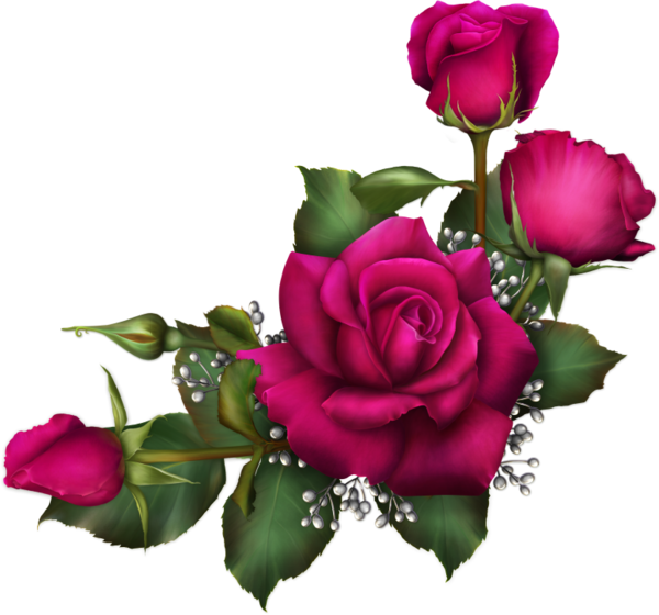 Flower Clipart (600x560), Png Download