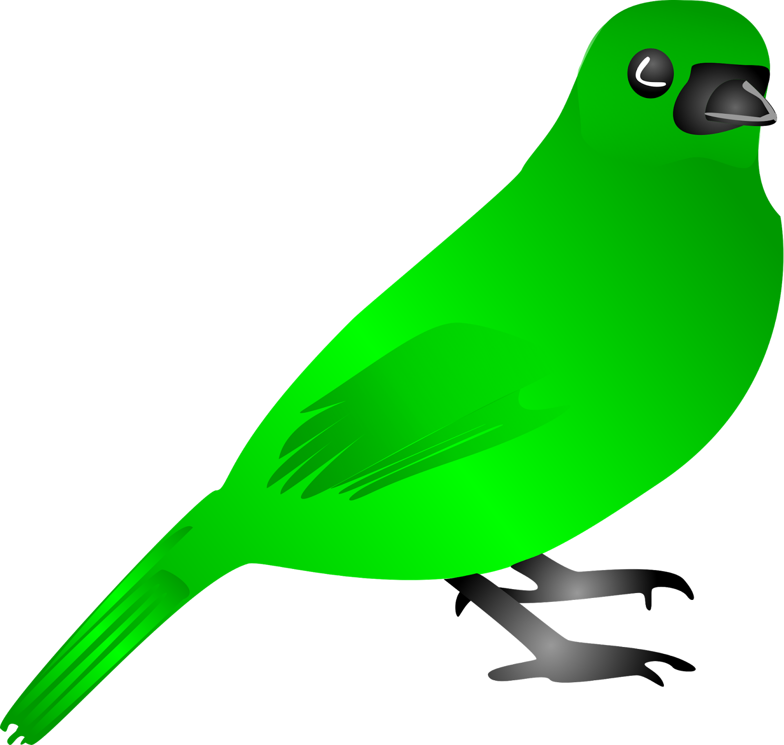 Angry Bird Clipart Black And White - Green Bird Clipart - Png Download (1600x1520), Png Download