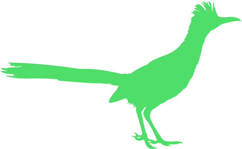 Phasianidae Clipart (800x493), Png Download