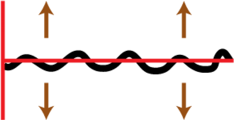 Clip Art - Png Download (800x533), Png Download