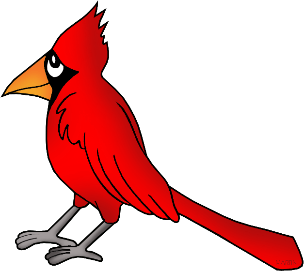 Northern Cardinal Bird Clip Art - Cardinal Clip Art - Png Download (648x599), Png Download
