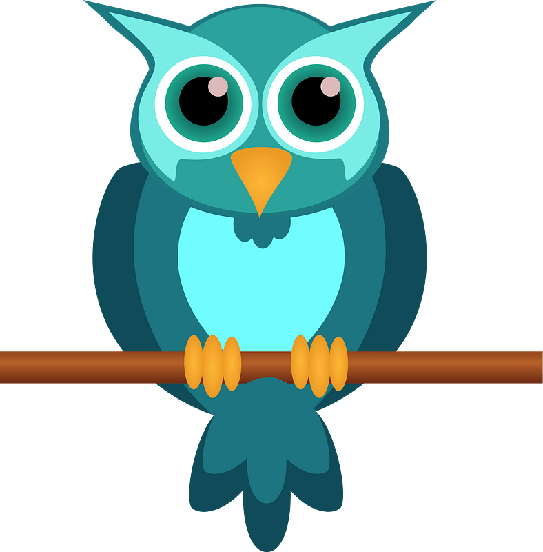 Owl On Branch Clipart - Love Owl - Png Download (788x800), Png Download