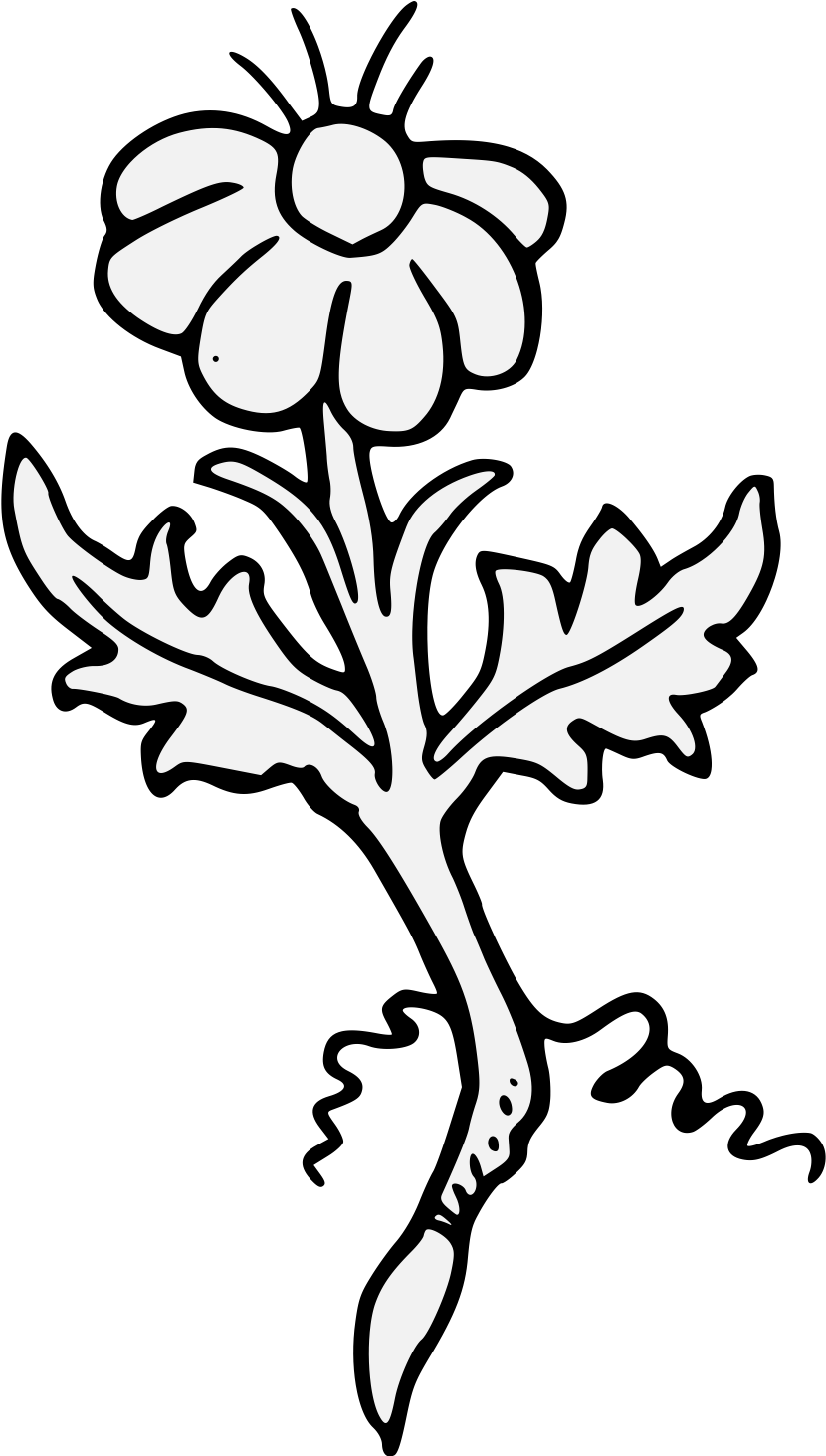 Clip Art - Png Download (881x1462), Png Download