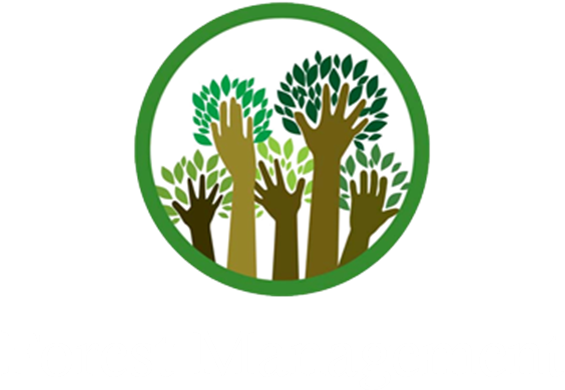 Illustration Clipart (1214x439), Png Download