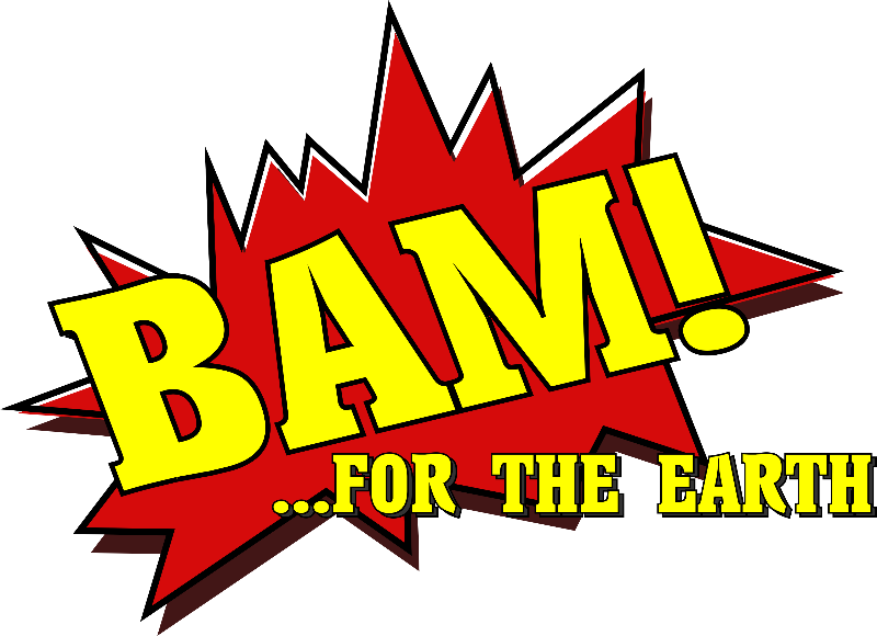 Clip Art - Png Download (800x580), Png Download