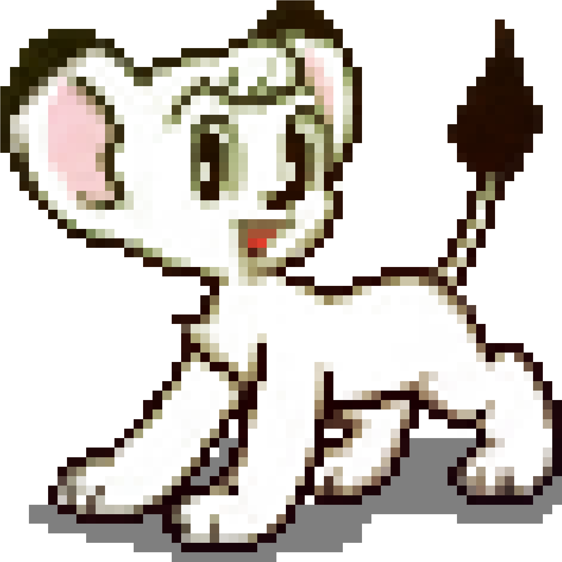 Cartoon Clipart (2000x2000), Png Download