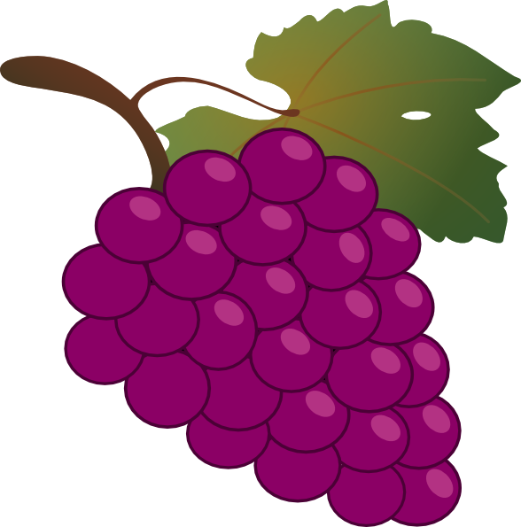 Cartoon Grapes Clipart - Grapes Clipart Transparent Background - Png Download (588x595), Png Download