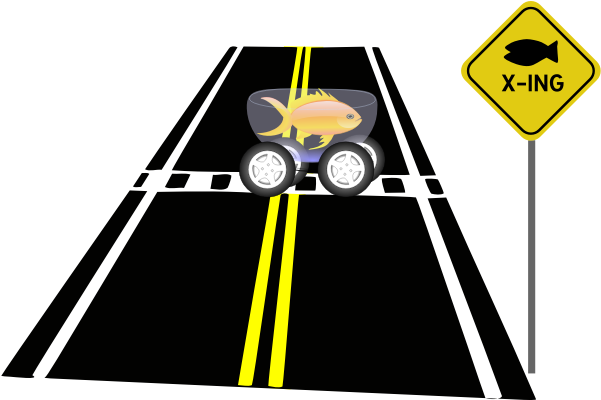 Fish Crossing - Highway Clipart Png Transparent Png (600x600), Png Download