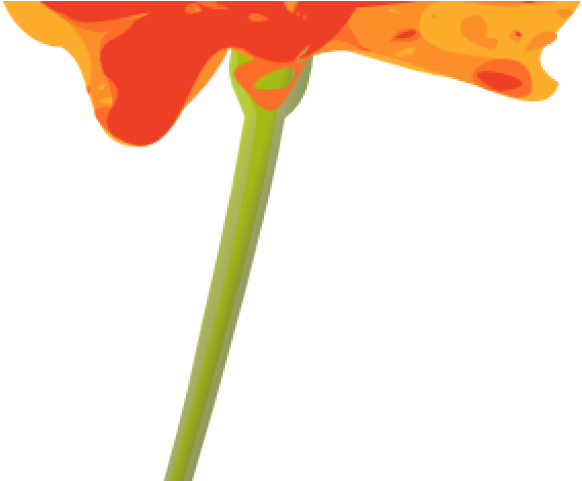 Orange Flower Clipart - Png Download (640x480), Png Download