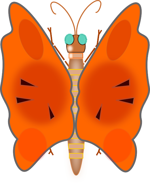 Animals, Lovely, Butterfly, Bug, Colors, Insect, Animal - Clip Art - Png Download (521x640), Png Download