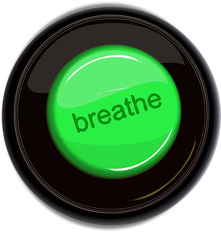 Breathe Icon Button - Circle Clipart (756x800), Png Download