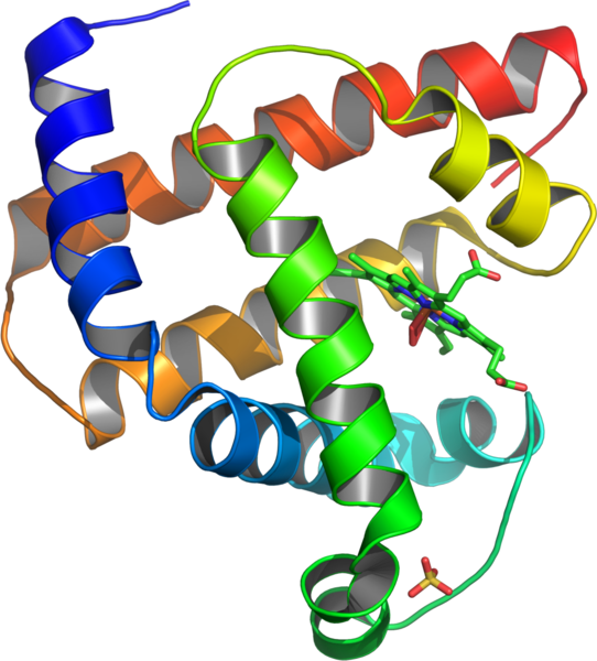 3d Protein Structure Clipart (542x600), Png Download