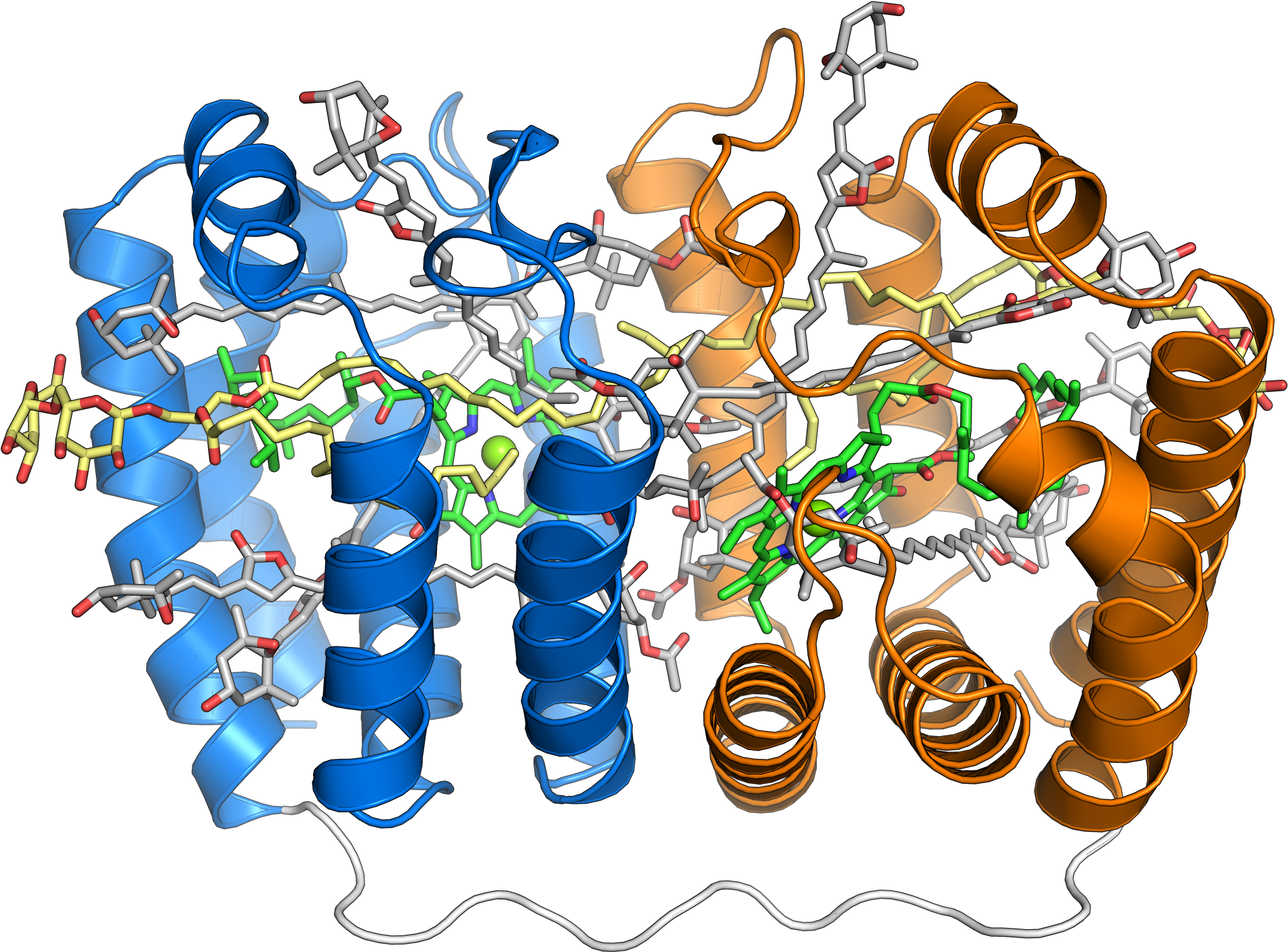 1ppr Peridinin Chlorophyll Protein - Complex Protein Structure Clipart (2048x1596), Png Download