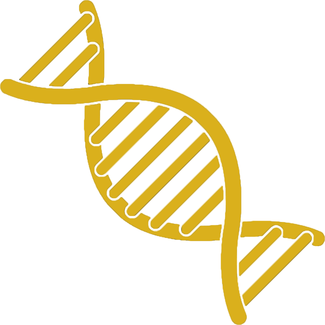 Dna Typing Of Cattle Represents A Significant Improvement - Yellow Dna Strand Png Clipart (1063x1063), Png Download