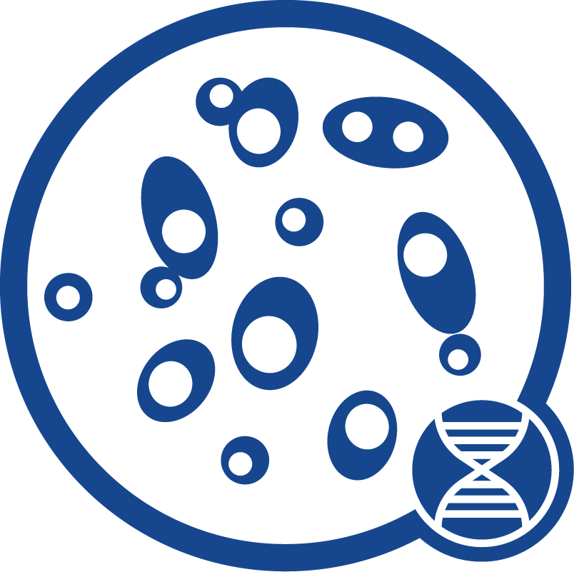 Yeast Dna Icon - Yeast Dna Extraction Clipart - Png Download (804x801), Png Download