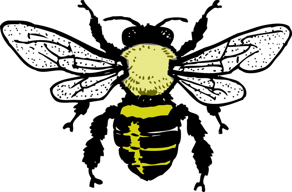 Silhouette Bee Clipart Black And White - Png Download (1024x673), Png Download