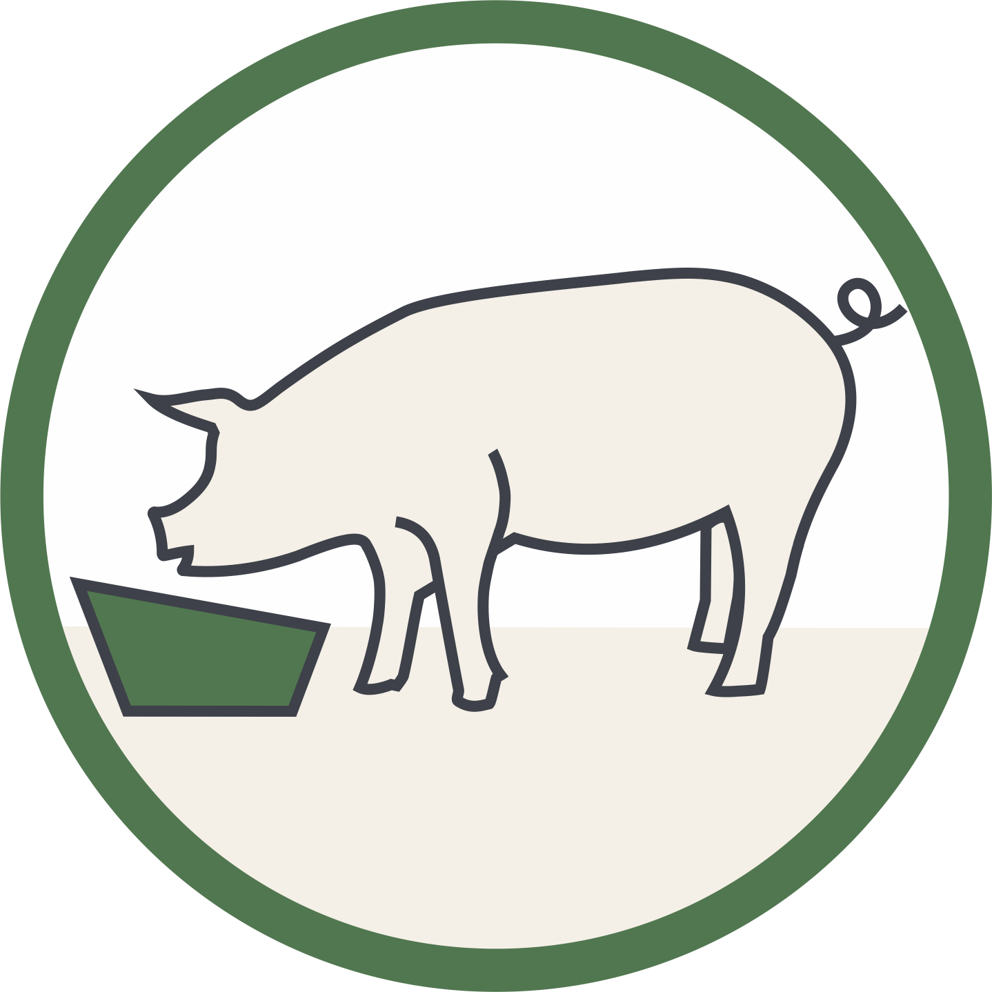 Domestic Pig Clipart (1438x1438), Png Download