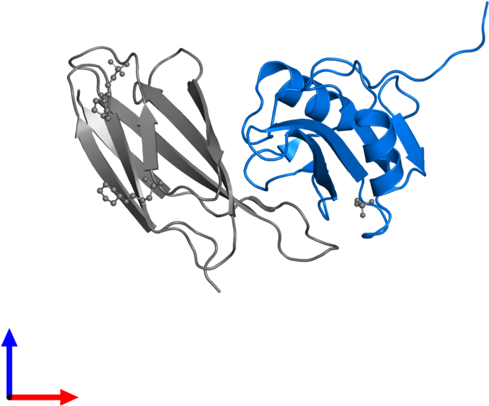 Illustration Clipart (800x800), Png Download