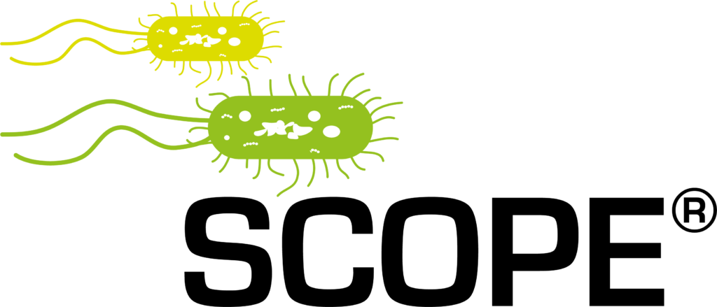 Clip Art - Png Download (1024x439), Png Download