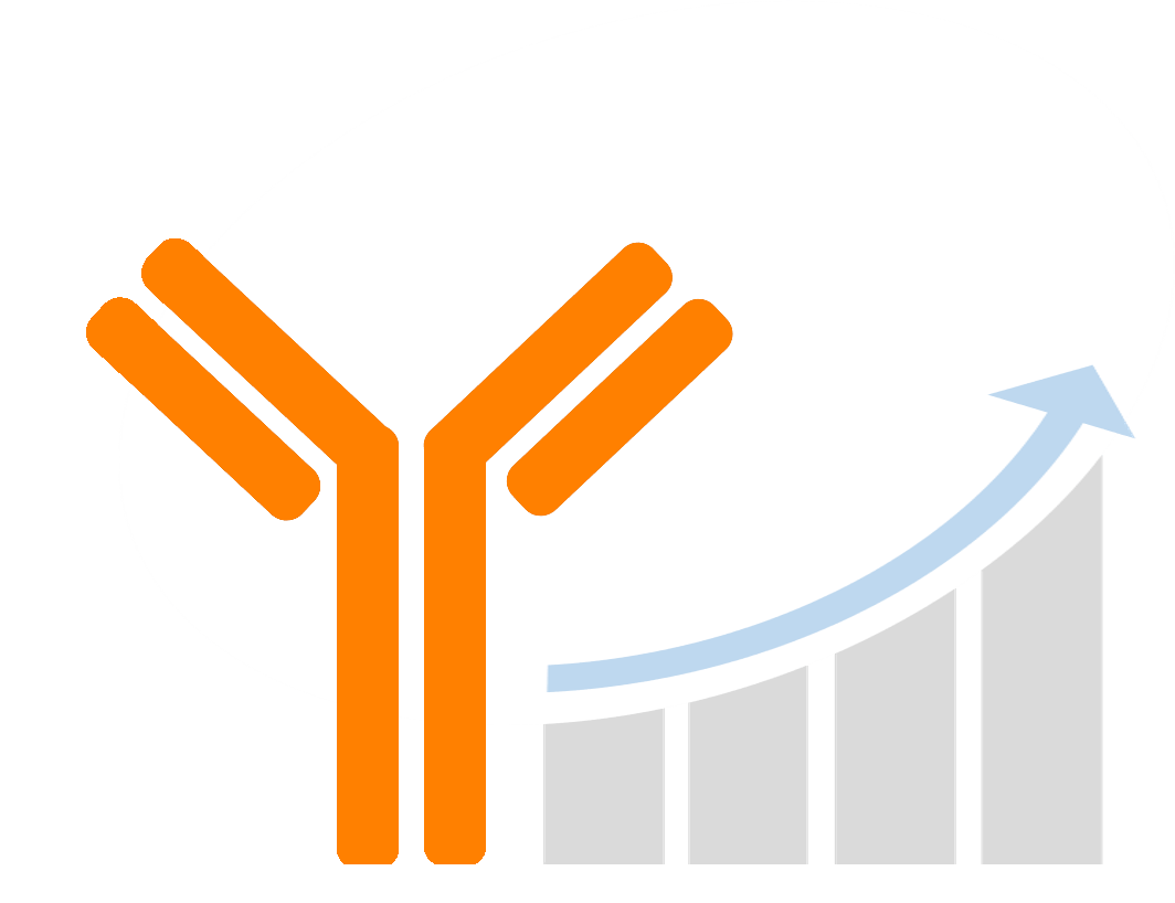 Clip Art - Png Download (1064x818), Png Download