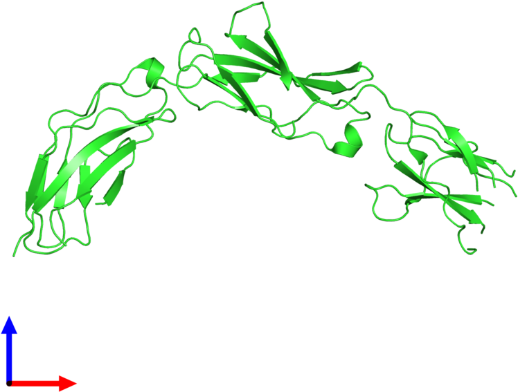 Clip Art - Png Download (800x800), Png Download