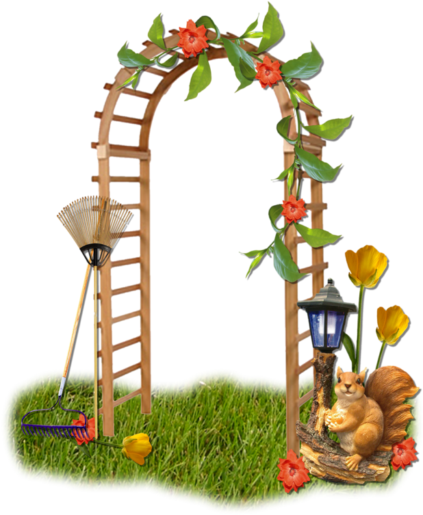 Clip Art - Png Download (640x800), Png Download