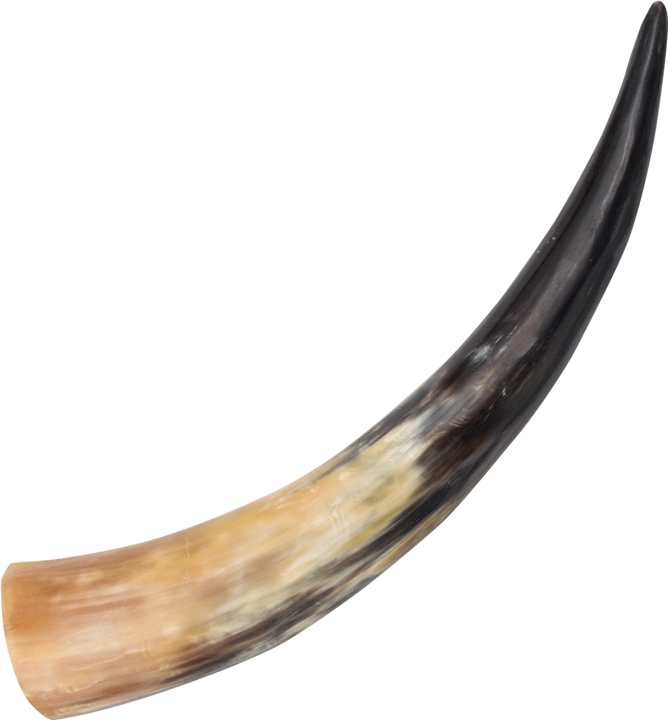 Drinking Horn Dagger Arkansas Toothpick - Animal Horn Clipart (1500x1500), Png Download