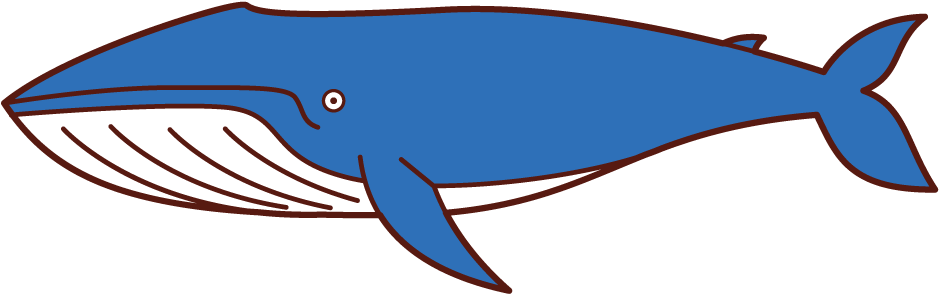 Illustration Of A Blue Whale - Blue Whale Clipart (1047x620), Png Download