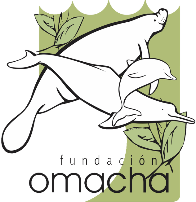 Cartoon Clipart (640x651), Png Download