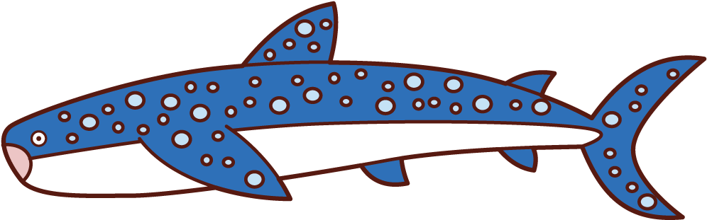 Illustration Of Whale Shark Clipart (1075x555), Png Download