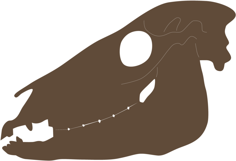 Illustration Clipart (840x840), Png Download