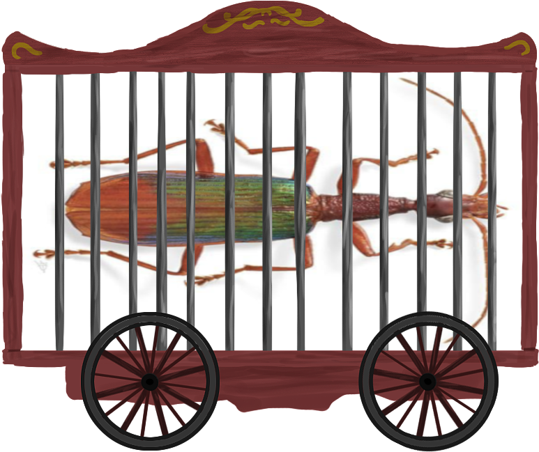 Circus Cage Png Clipart (827x700), Png Download