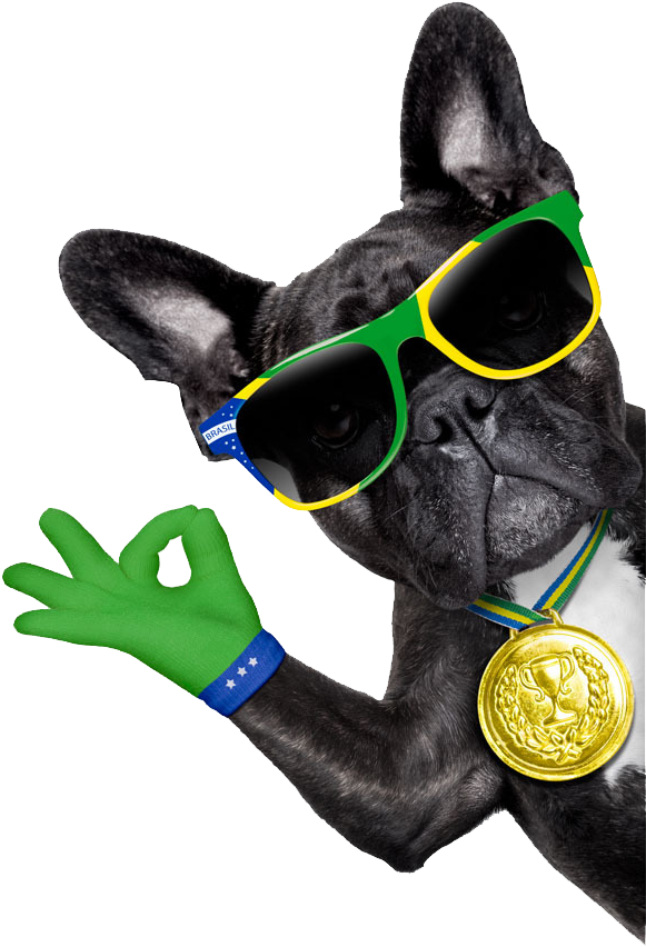 Kutta Bully Bulldog Photography Dog French Puppy Clipart - Imagenes De Perros Cools - Png Download (988x1000), Png Download