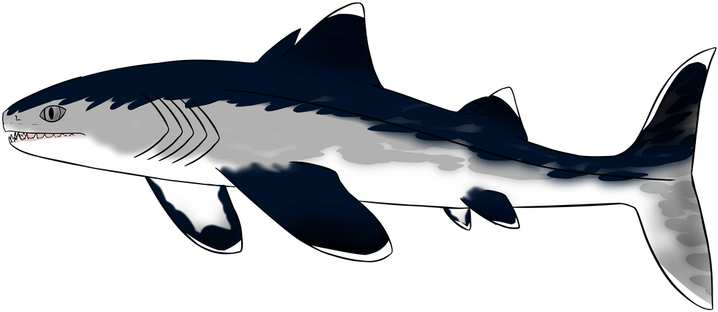 Picture - Shark Clipart (1100x518), Png Download