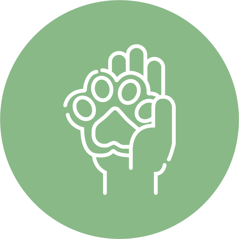 Sample Avatar - 聚聚楽 Nook Clipart (835x835), Png Download