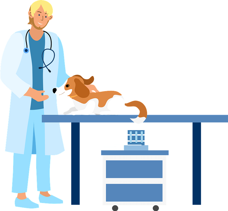 Veterinary With A Dog Clipart - Png Download (800x741), Png Download