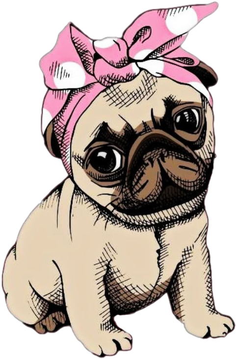 Pug Dog Png Clipart - Pug Png Transparent Png (860x807), Png Download