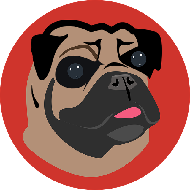 Pug Clipart (640x640), Png Download