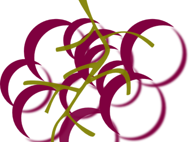Drawings Of Grape Cluster Clipart (640x480), Png Download