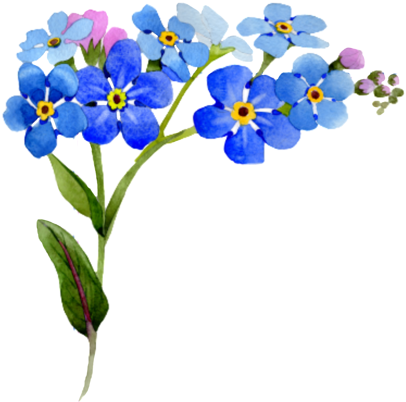 #flower #corner #interesting #nature - Blue Floral Frame Png Clipart (1566x1549), Png Download