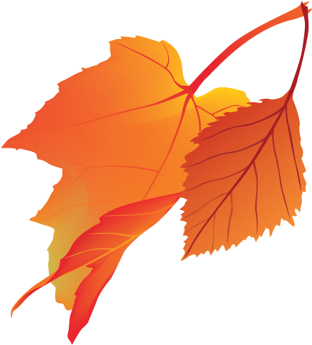 Maple Leaf Clipart (599x544), Png Download
