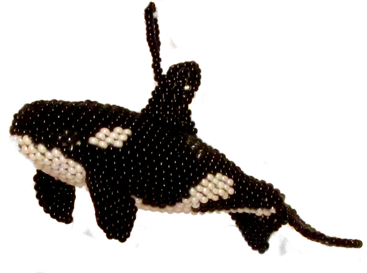 Killer Whale Clipart , Png Download - Killer Whale Transparent Png (750x557), Png Download