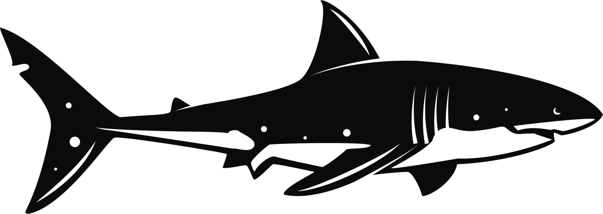 Clip Art - Png Download (958x340), Png Download